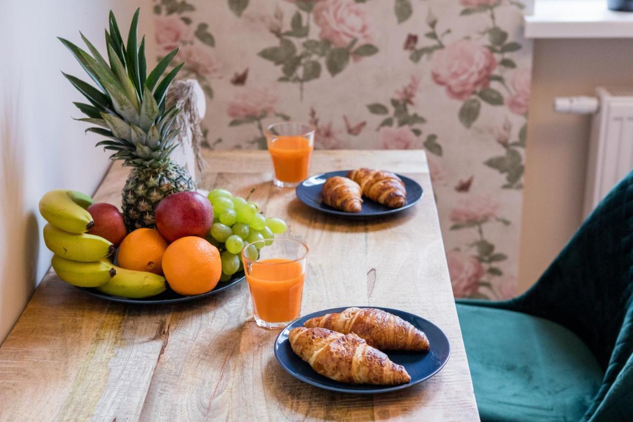 Stary Toruń Apartament Starowka 5 아파트 외부 사진